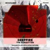 The Forgotten (Vitaly Shturm Remix) - Deepfire&Vitaly Shturm