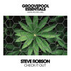 Chek It Out (Club Mix) - Steve Robson