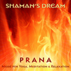 Prana - Shaman's Dream