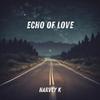 Echo of Love - Harvey K