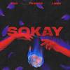 Sokay - X2C&LNGY&Traced