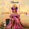Night & Day (feat. Nonso Amadi) - Niniola&Nonso Amadi