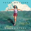 Divine Spark - Peter Novsend