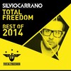 Freefall (Silvano Mereu Remix) - Dizkodude&Aronauer&Rod Pinn&Silvano Mereu