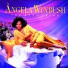 No More Tears - Angela Winbush