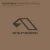Welsh Morphology (Charles Gudagavfa Remix) - David West