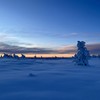Du er ikke alene - Victoria Nadine
