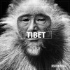 Tibet (Original Mix) - Carlos Mendes&Saulo Pisa