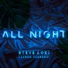All Night - Steve Aoki&Lauren Jauregui