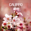 I Just Go Crazy (Original Mix) - Calippo