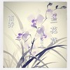 兰花草(我从山中来) - 南乔