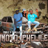 Imoto Iphelile (feat. Zinhle & Dj Blue sa aka makhowa|Explicit) - Small K de Voca&Zinhle&Dj Blue SA aka Makhowa