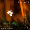 Salty Tears (feat. Grethe Svensen) - Olé Ask&Grethe Svensen