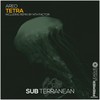 Tetra (Nth Factor Remix Edit) - AREO&Nth Factor