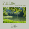 Still Life Meditation - Jeffree