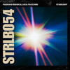 Starlight - Padraig Reggie&Luca Facchini