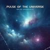 Pulse of the Universe - Brian Grassfield