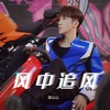 风中追风 (DJ版) - 梁山山
