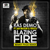 Blazing Fire (Benny Page Remix) - Ras Demo&Jah Mason&Frisco