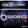 Never Say Goodbye (Lusvin Alexander Remix) - Katylyst&kiran m sajeev