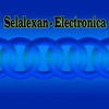 Weeping Guitar (Original Mix) - Selalexan