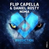 Noma (Extended Mix) - Flip Capella&Daniel Rosty
