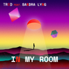 In My Room - TRXD&Sandra Lyng