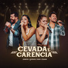 Cevada e Carência (Ao Vivo) - Jennifer e stephany&Ícaro e Gilmar