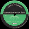Summertime Is Here - Theo Parrish