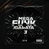 MEGA FUNK IGARATA 3 (Explicit) - DJ FK