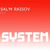 Fly - Sal'm Raisov