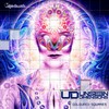 Seen - Unseen Dimensions