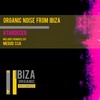 Atardecer (Medud Ssa Sunset Revision) - Organic Noise From Ibiza