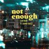Not Enough (feat. Danny Haile) - Sam Nabi&Danny Haile