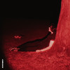 Crossfire (Explicit) - goodnight lavender