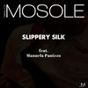 Slippery Silk (feat. Manuela Panizzo) - Gianluca Mosole&Manuela Panizzo