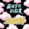 藏进岁月的寂寞 (烟嗓版) - 刘皮特