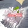 EX - 雪无影