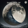 Dark Side Of The Moon (Radio Edit) - Ray Ro&ZEL