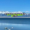 老天保佑金山银山全都有 (DJ版) - 十六的月