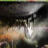 Blinkimgone (feat. blinkimgone, Ojaweg Souldier & Globox) (Explicit) - Website Online&Blinkimgone&Ojaweg Souldier&Globox
