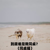 到底谁是我同桌（同桌摇） - DJ小智