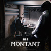 Montant (Explicit) - BIG Z