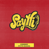Say Hi - Codeko&Austin Mahone
