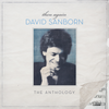 Anywhere I Wander (Album Version) - David Sanborn