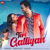 Teri Galliyan - Amarjeet Jaikar