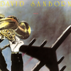 It Took a Long Time - David Sanborn