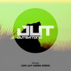Lion (Jay Sarma Remix) - Netapy&Jay Sarma