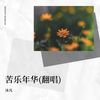 苦乐年华 (cover: 范琳琳) (Live) - 沐凡