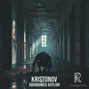 Abandoned Asylum - Kristonov